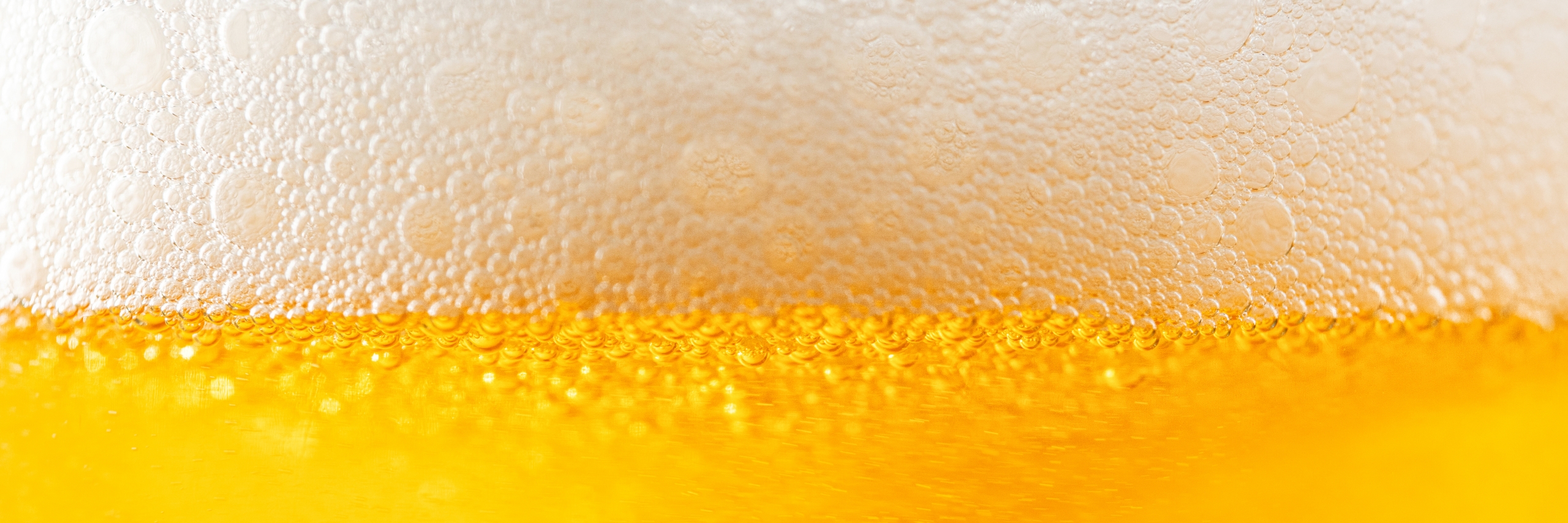 AdobeStock 304762444 scaled - Challenges for the brewing industry